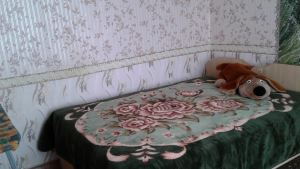 Фотография 11 из 17 - Сдаю частный дом под ключ в с. Оленевка, Черноморский район!