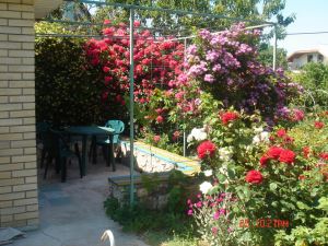 Фотография 3 из 16 - Отдых в Крыму(мыс Фиолент)