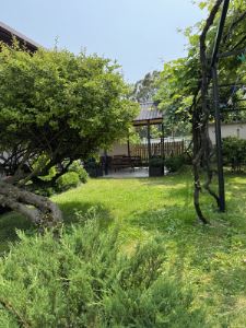 Фотография 7 из 22 - “Villa Mare”