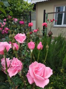 Фотография 16 из 25 - Семейный отдых. Частный дом.