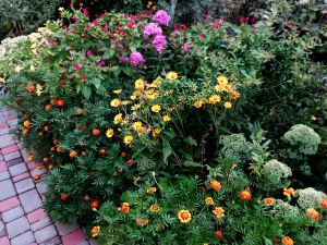 Фотография 21 из 24 - Сезон 2026. Судак. Двухкомнатный дом 8 минут до моря.