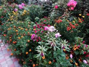 Фотография 20 из 24 - Сезон 2026. Судак. Двухкомнатный дом 8 минут до моря.