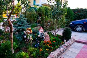 Фотография 12 из 17 - Частный дом "Зеленый дворик" Севастополь