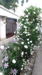 Фотография 3 из 14 - Гостевой дом с бассейном Камелот