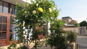 Фотография 2 из 14 - Гостевой дом с бассейном Камелот