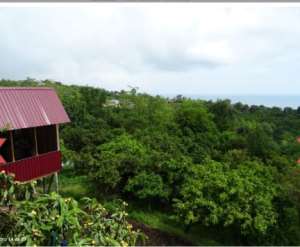 Фотография 14 из 17 - Гостевой дом с видом на Море
